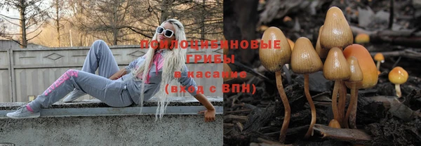 тгк Нефтекумск