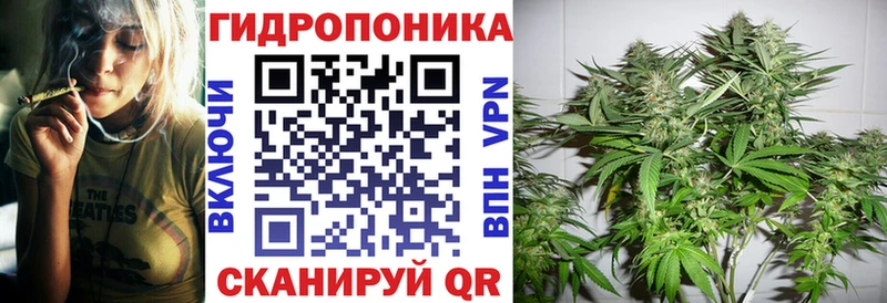 Канабис THC 21%  Купить где  Ленинградская 